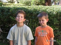 Naturheilpraxis Lorey Haben Sie Fragen zu meinen L